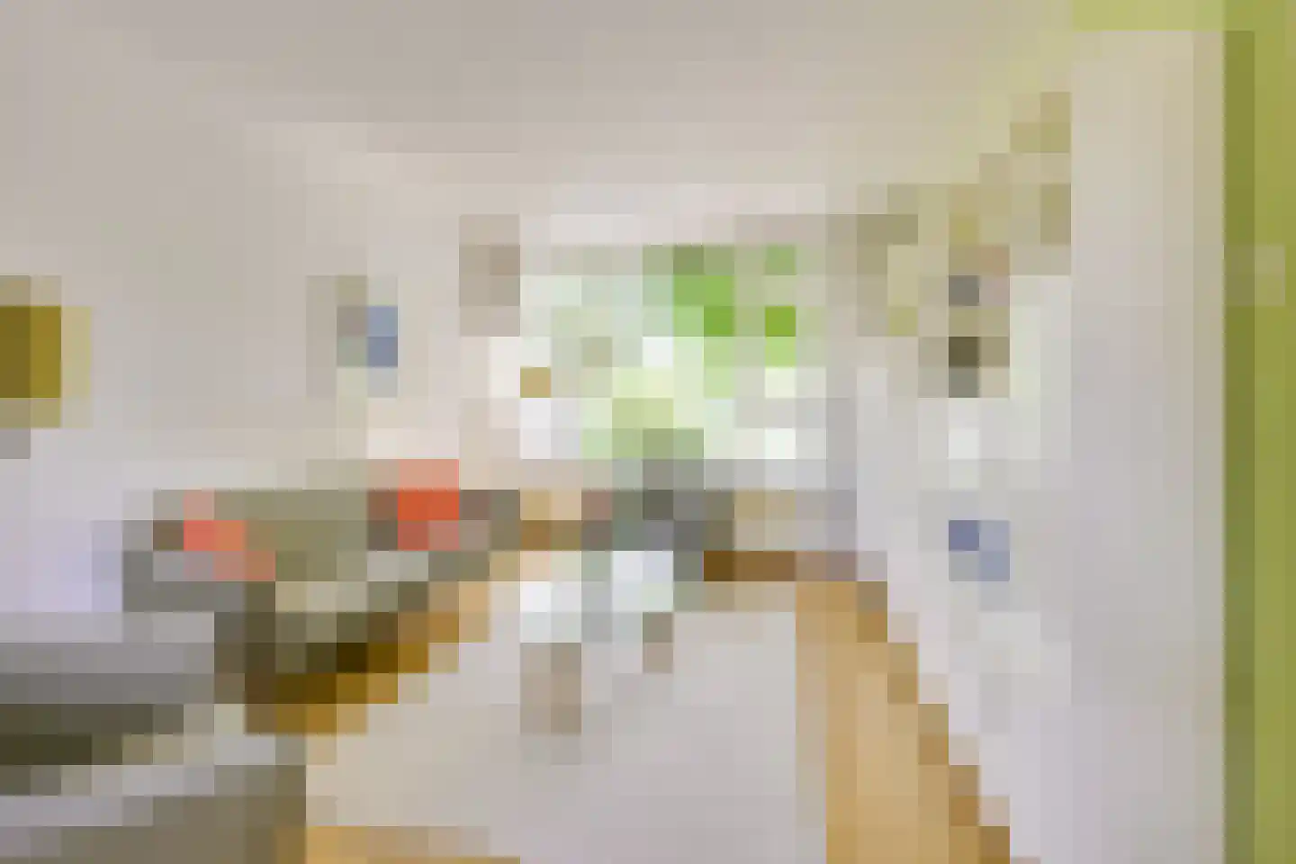 Verduinstraat 25 Vianen thumbnail 5