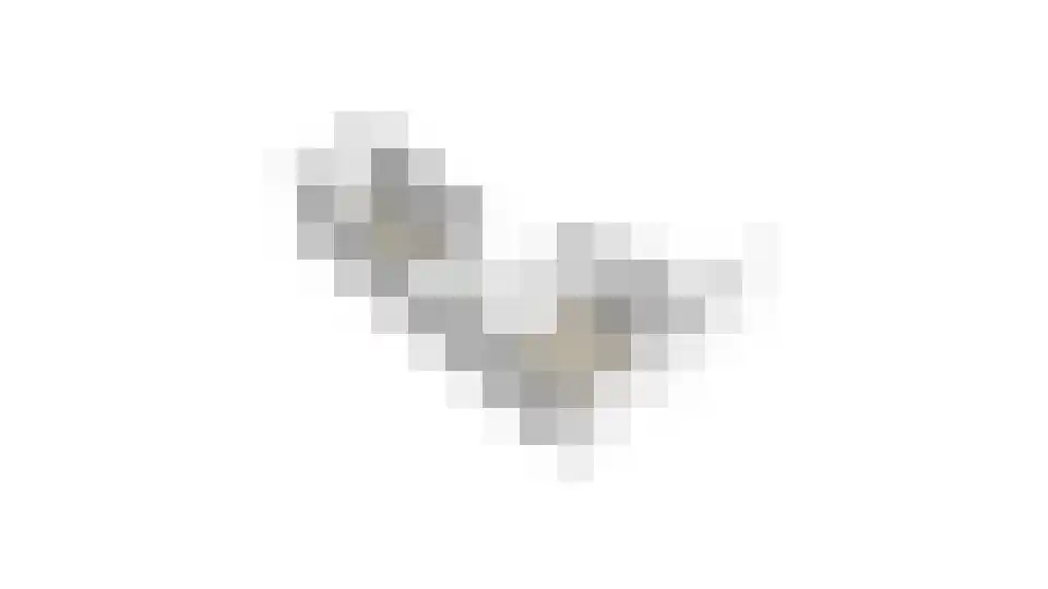 Verduinstraat 25 Vianen thumbnail 51