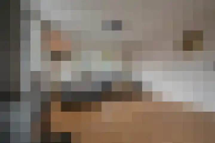 Vereniginglaan 4 Beerta thumbnail 13
