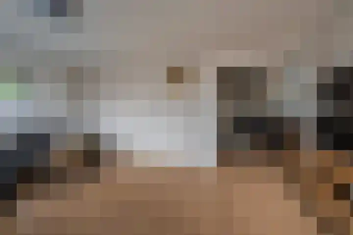 Vereniginglaan 4 Beerta thumbnail 14