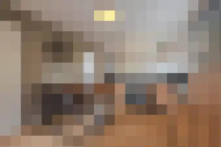 Vereniginglaan 4 Beerta thumbnail 17