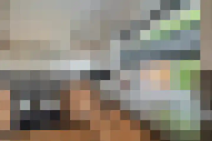 Vereniginglaan 4 Beerta thumbnail 20