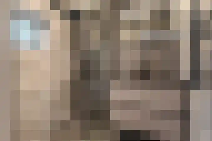 Vereniginglaan 4 Beerta thumbnail 23