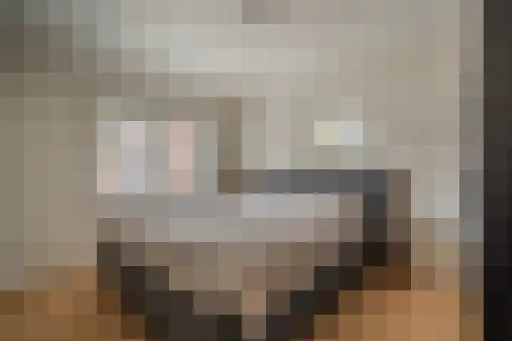 Vereniginglaan 4 Beerta thumbnail 26