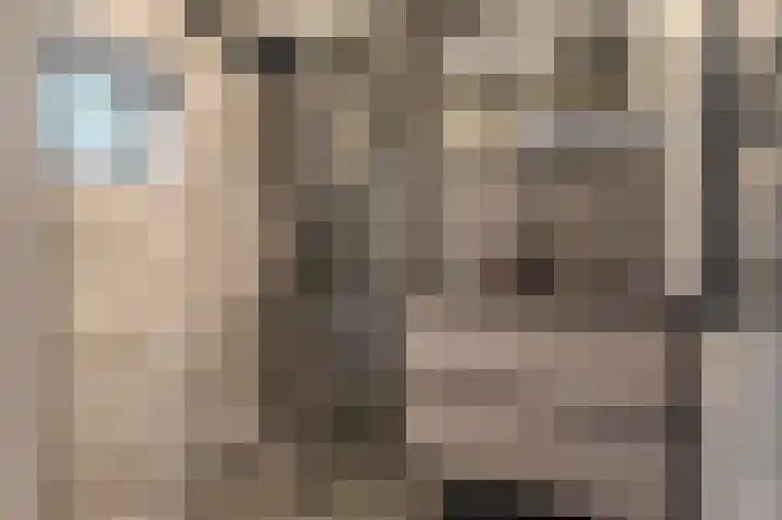 Vereniginglaan 4 Beerta thumbnail 4
