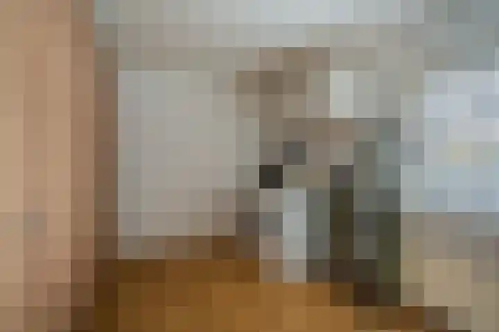 Vereniginglaan 4 Beerta thumbnail 40