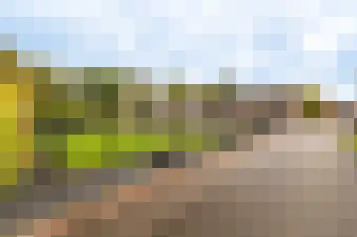 Vereniginglaan 4 Beerta thumbnail 5