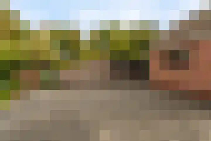 Vereniginglaan 4 Beerta thumbnail 52