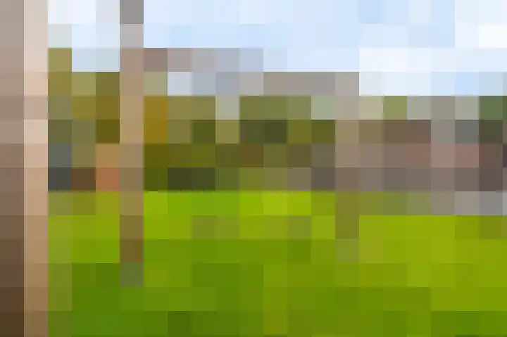 Vereniginglaan 4 Beerta thumbnail 55