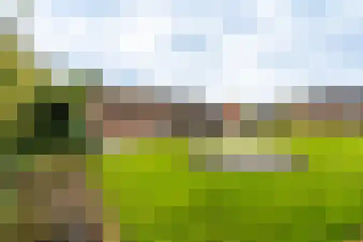 Vereniginglaan 4 Beerta thumbnail 56