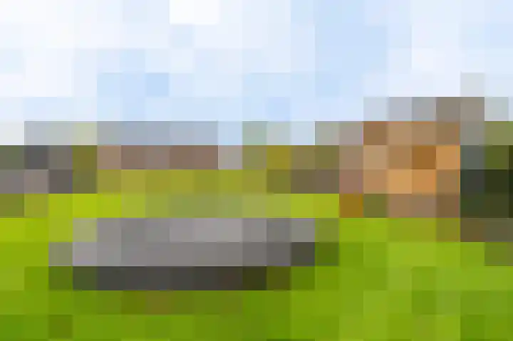 Vereniginglaan 4 Beerta thumbnail 57