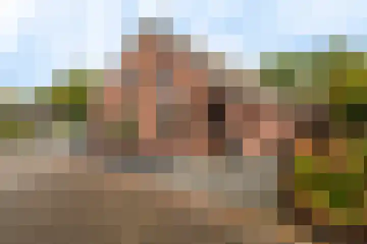 Vereniginglaan 4 Beerta thumbnail 7