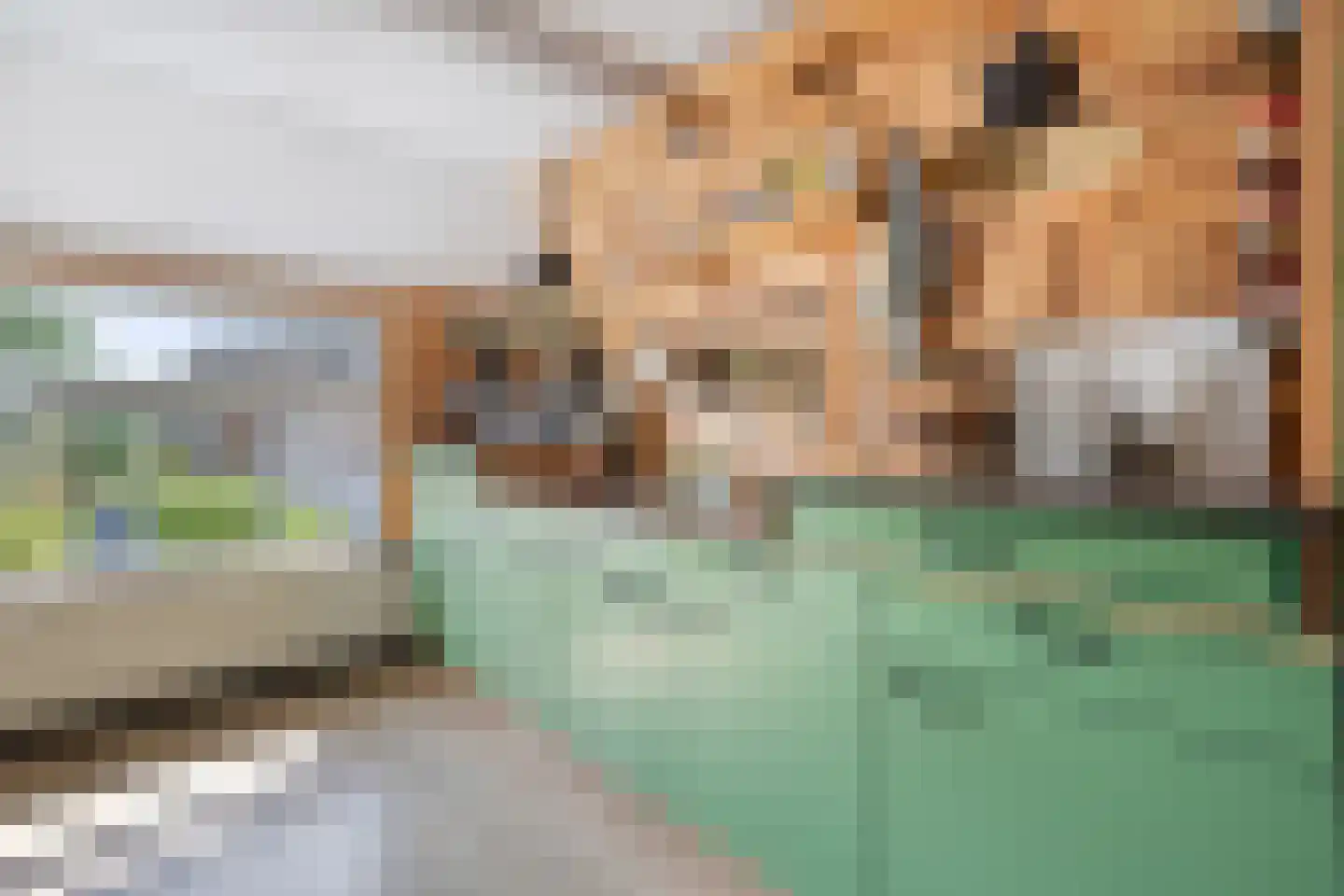 Vereniginglaan 5 Beerta thumbnail 17