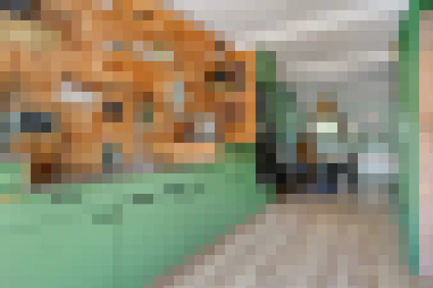 Vereniginglaan 5 Beerta thumbnail 18