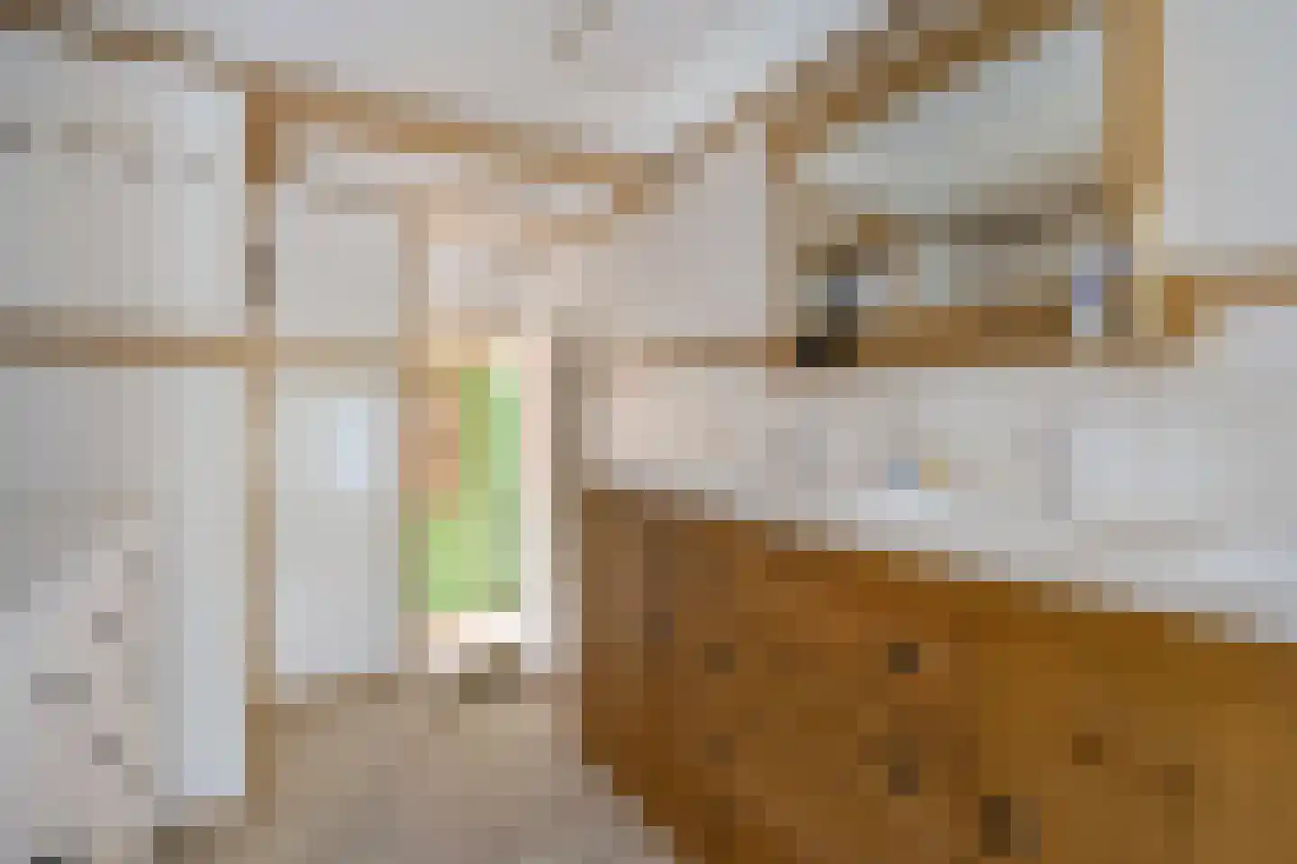 Vereniginglaan 5 Beerta thumbnail 22