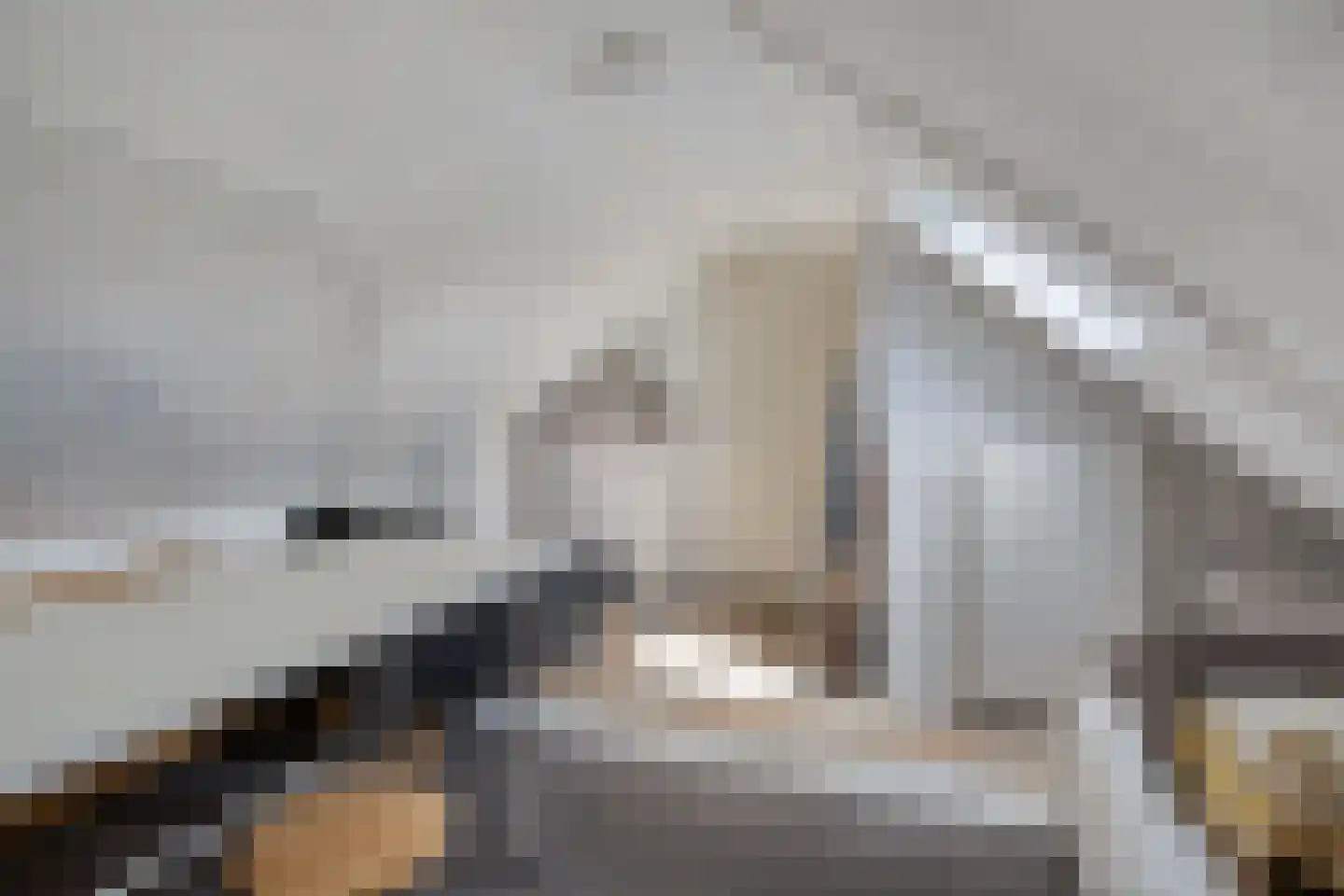 Vereniginglaan 5 Beerta thumbnail 34