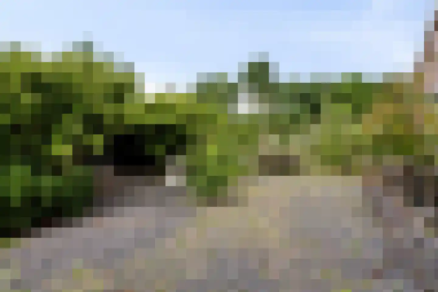 Vereniginglaan 5 Beerta thumbnail 41