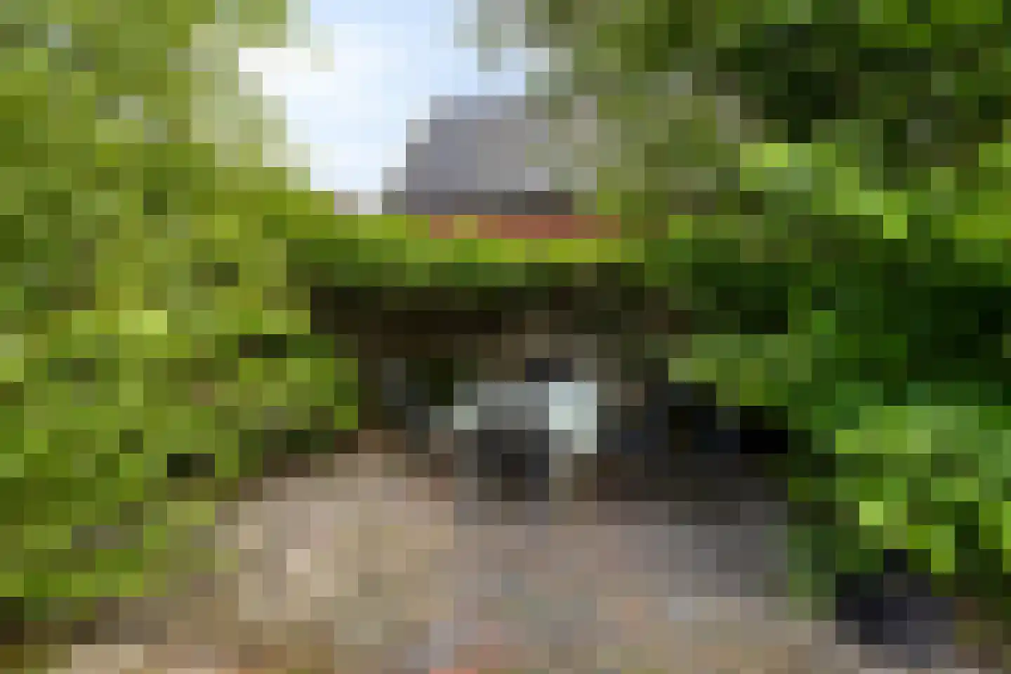 Vereniginglaan 5 Beerta thumbnail 42