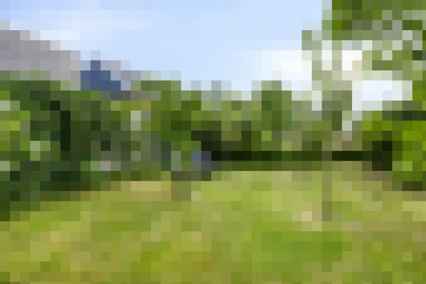 Vereniginglaan 5 Beerta thumbnail 43