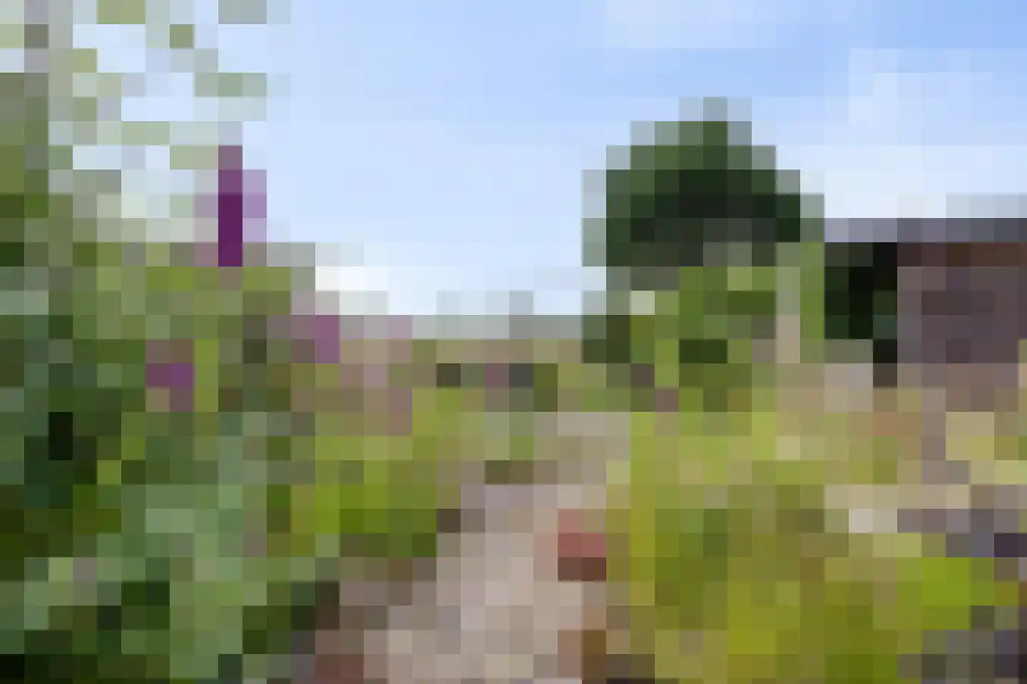 Vereniginglaan 5 Beerta thumbnail 44