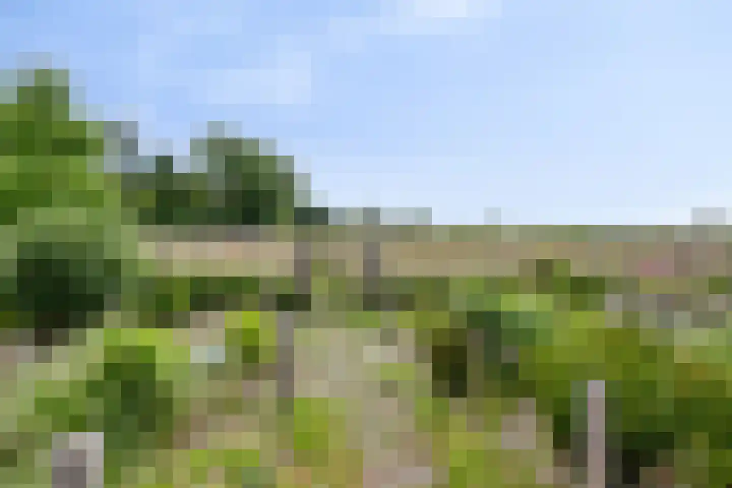 Vereniginglaan 5 Beerta thumbnail 46
