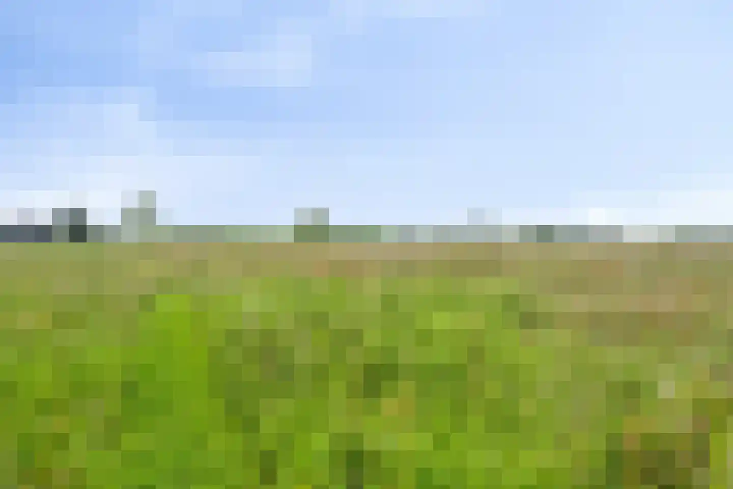 Vereniginglaan 5 Beerta thumbnail 47