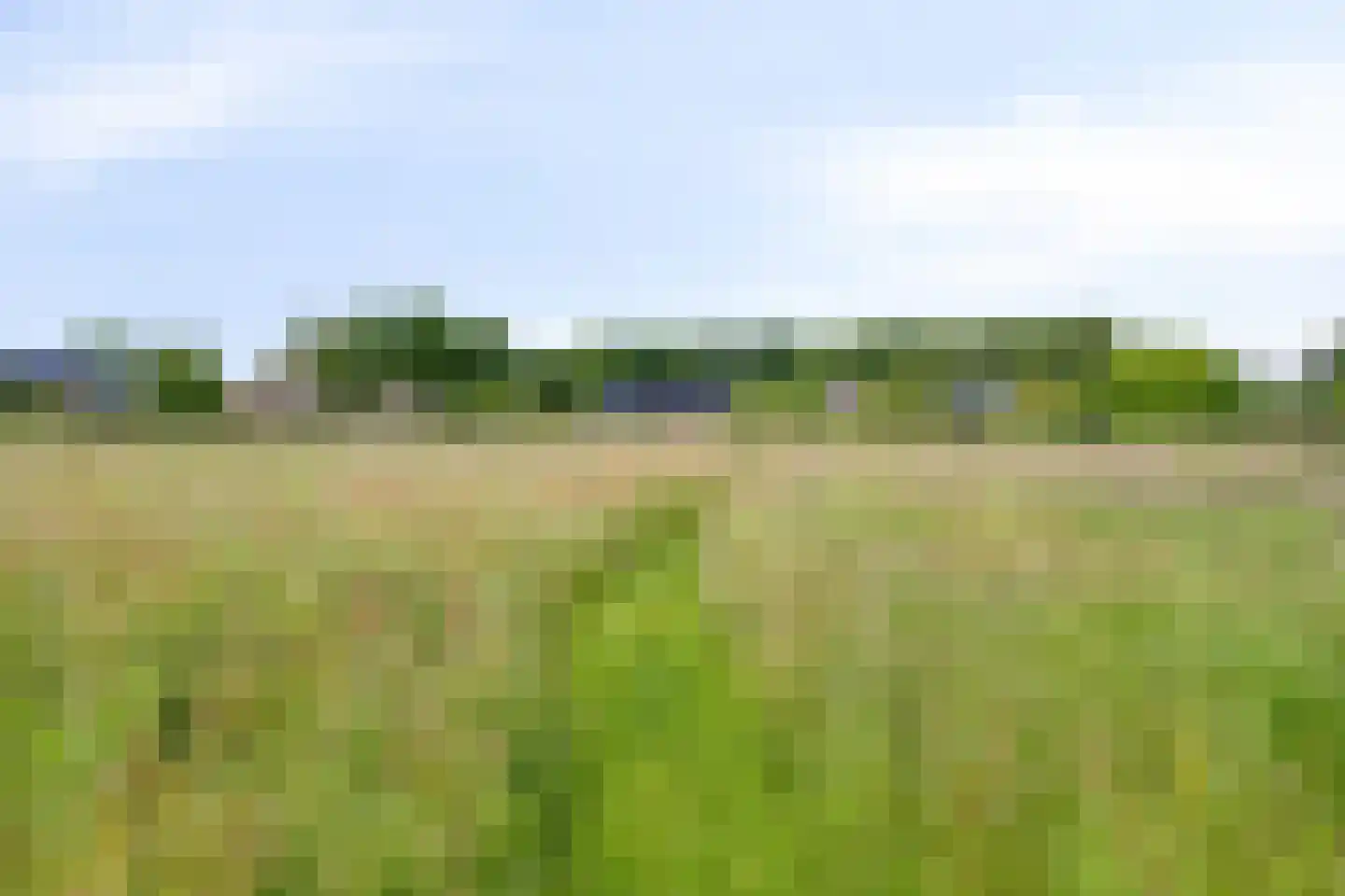 Vereniginglaan 5 Beerta thumbnail 48