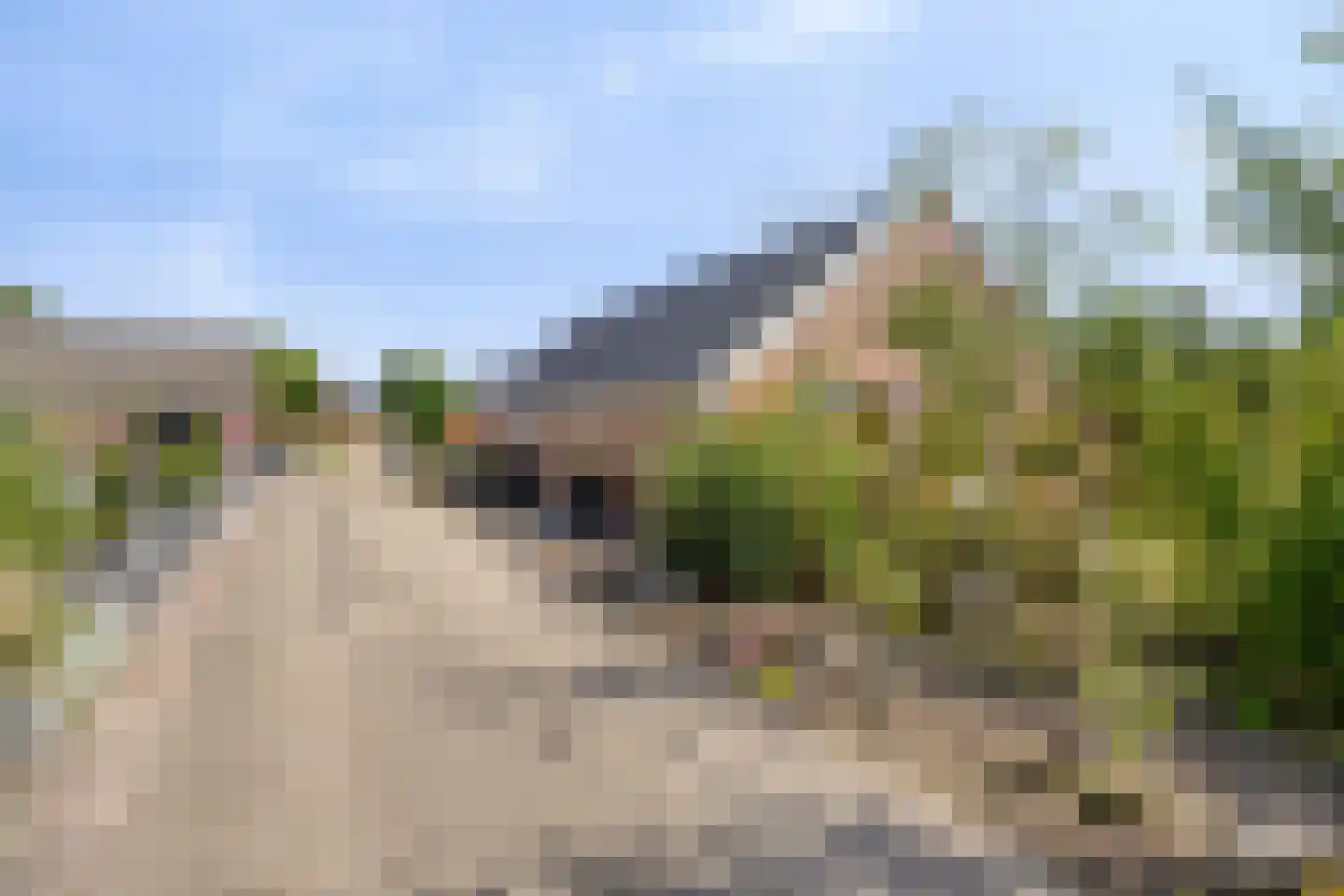 Vereniginglaan 5 Beerta thumbnail 9