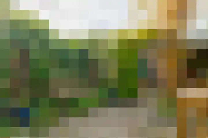 Verenigingstraat 20 Zwolle thumbnail 4