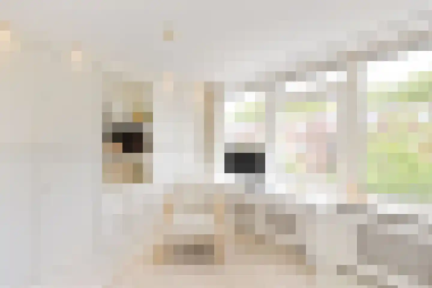 Verenigingstraat 33 Utrecht thumbnail 21