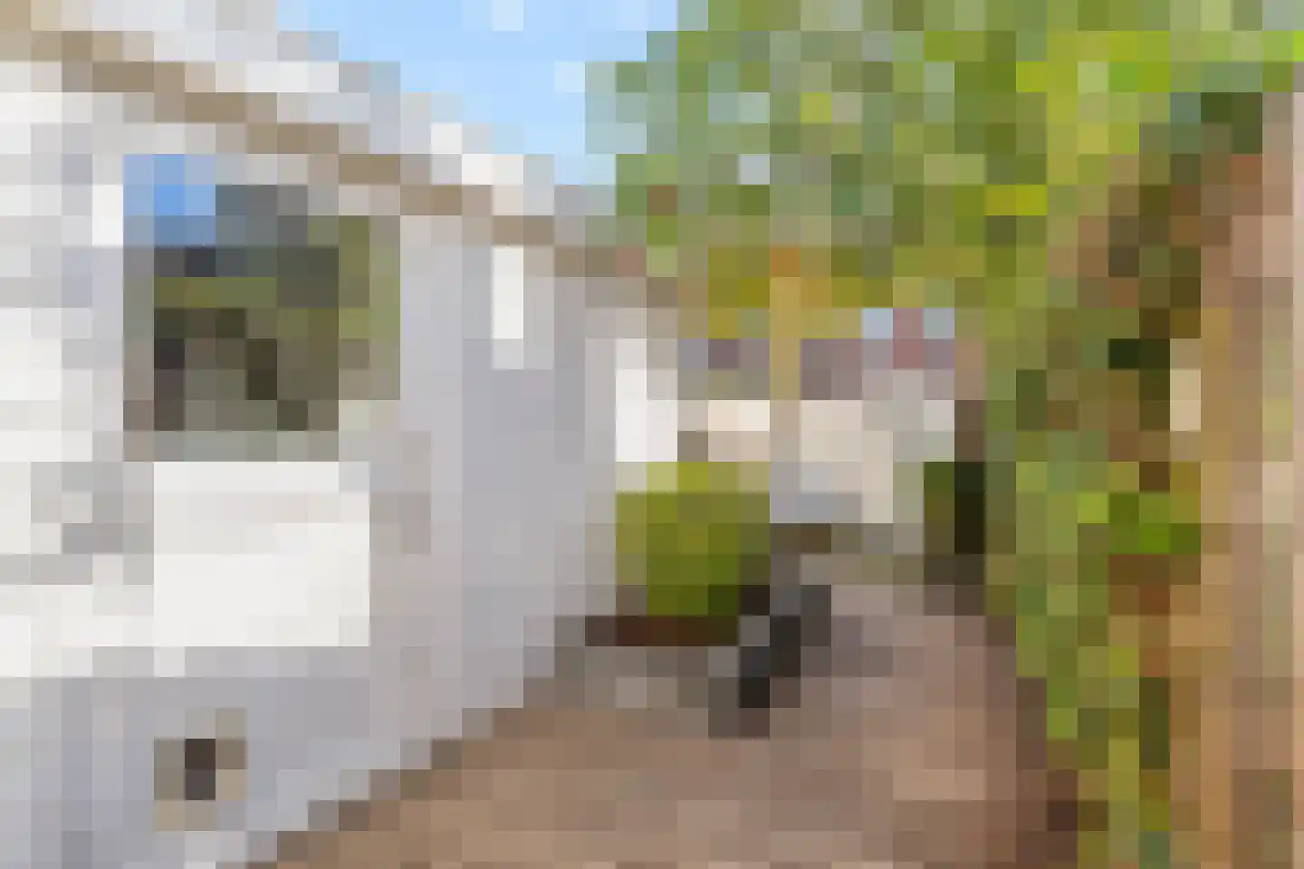 Verenigingstraat 33 Utrecht thumbnail 36