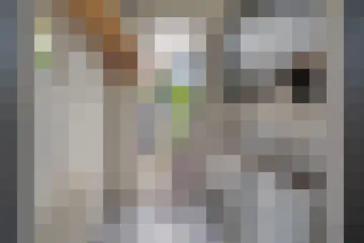 Verenigingstraat 35 Zwolle thumbnail 35
