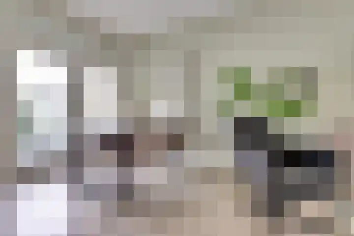 Verenigingstraat 6 Tilburg thumbnail 9