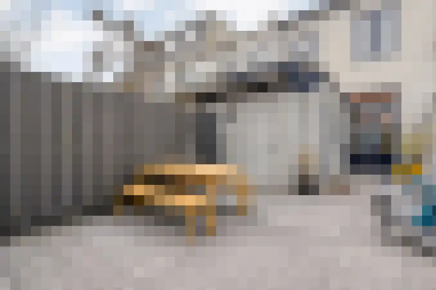 Verenigingstraat 65 Zwolle thumbnail 31