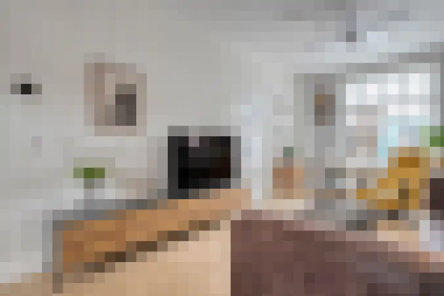 Verenigingstraat 65 Zwolle thumbnail 7