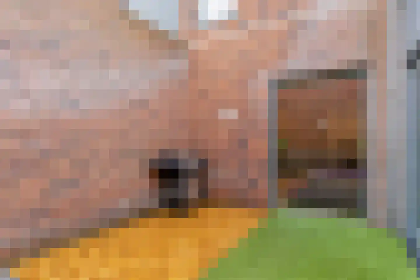 Verenigingstraat 7 Tilburg thumbnail 19