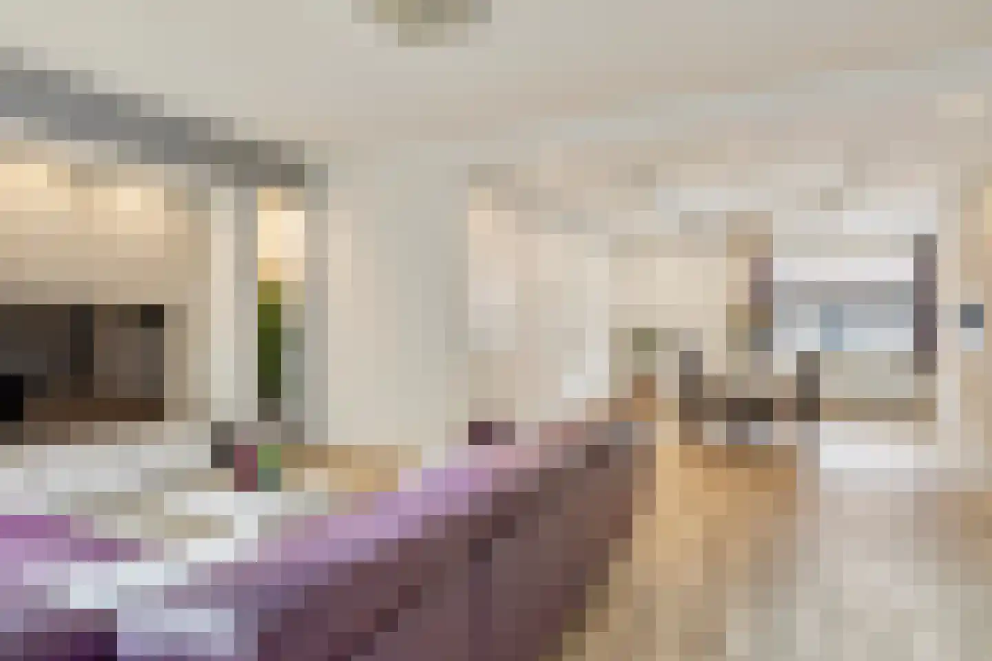 Verenigingstraat 7 Tilburg thumbnail 9