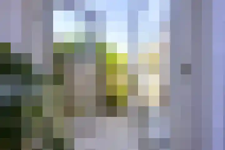 Verenigingstraat 72 Utrecht thumbnail 20