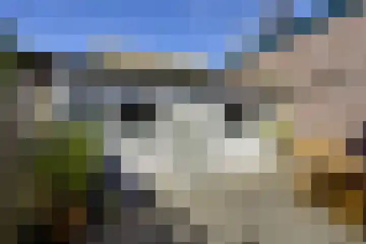 Verenigingstraat 72 Utrecht thumbnail 23