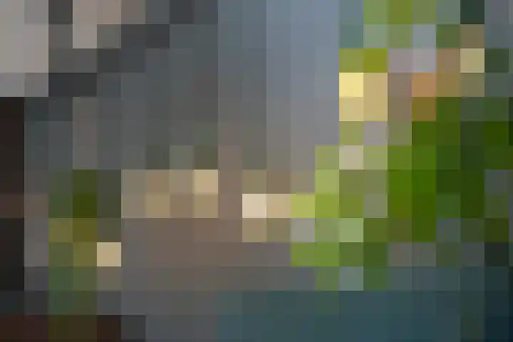 Verenigingstraat 77 Utrecht thumbnail 14