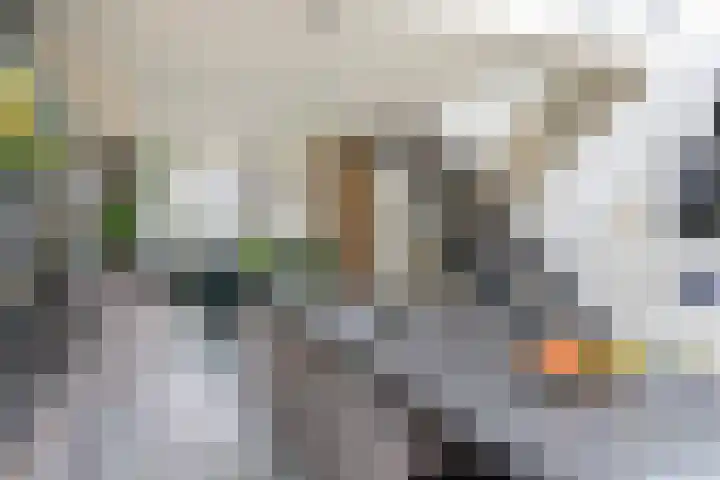 Verenigingstraat 77 Utrecht thumbnail 17