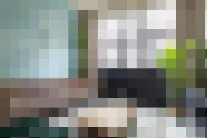 Verenigingstraat 77 Utrecht thumbnail 21