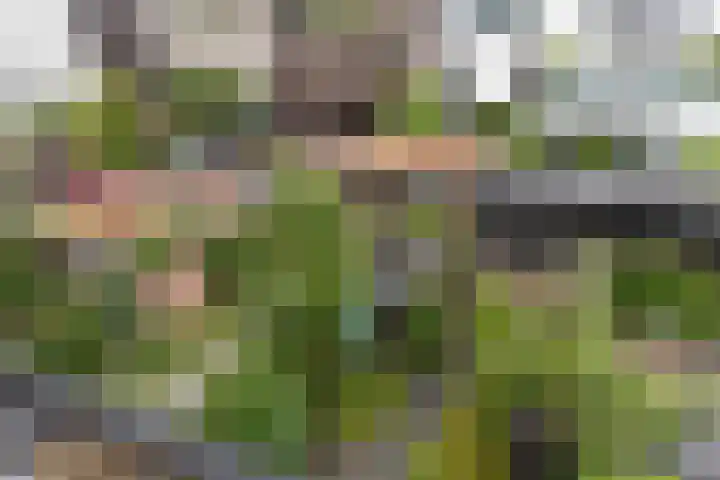 Verenigingstraat 77 Utrecht thumbnail 47