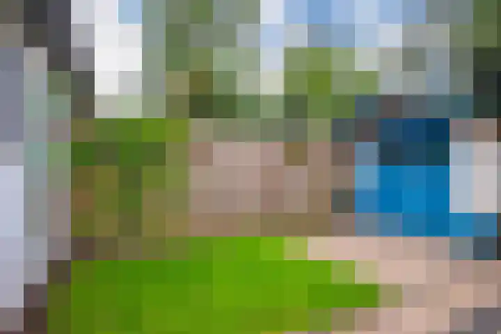 Verenwei 41 Arnhem thumbnail 19
