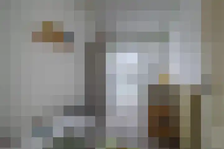 Verenwei 41 Arnhem thumbnail 24