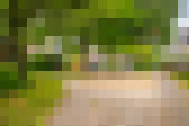 Verenwei 41 Arnhem thumbnail 30