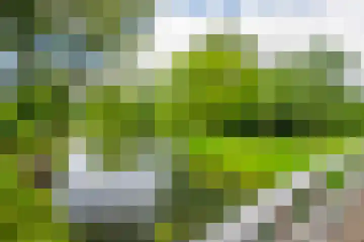 Verenwei 41 Arnhem thumbnail 32