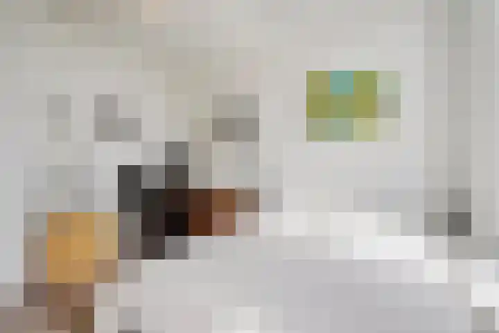 Verenwei 41 Arnhem thumbnail 41
