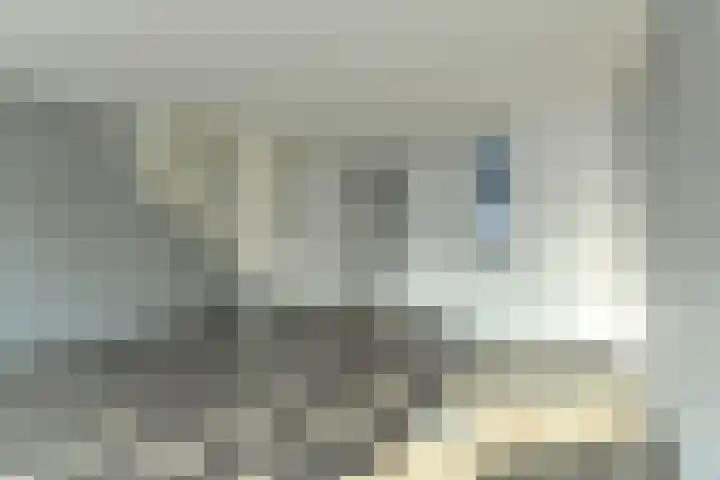Verenwei 72 Arnhem thumbnail 13