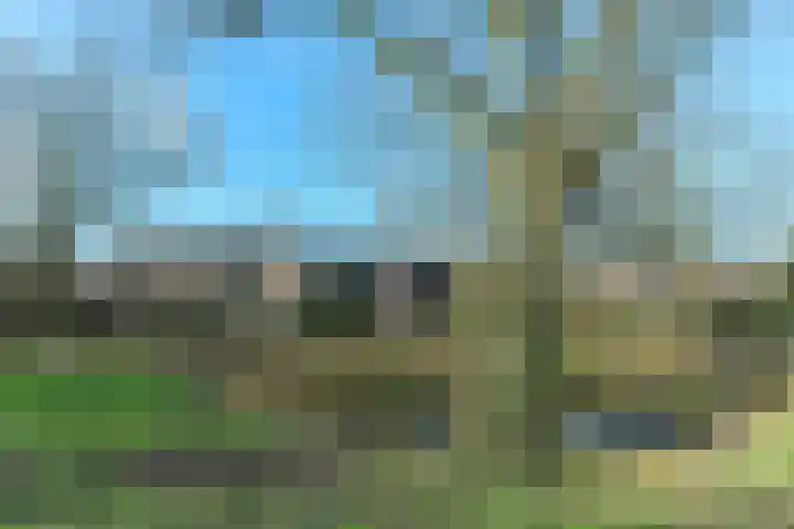 Verenwei 72 Arnhem thumbnail 37